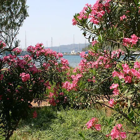 Baraka Hisaronu (adults Only) Ξενοδοχείο Μαρμαρίς