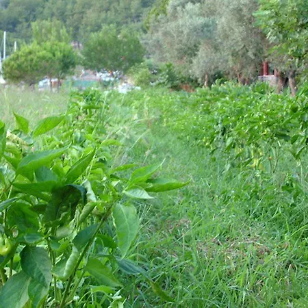 Baraka Hisaronu (adults Only) Hotel Marmaris