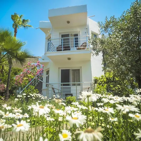 Baraka Hisaronu (adults Only)