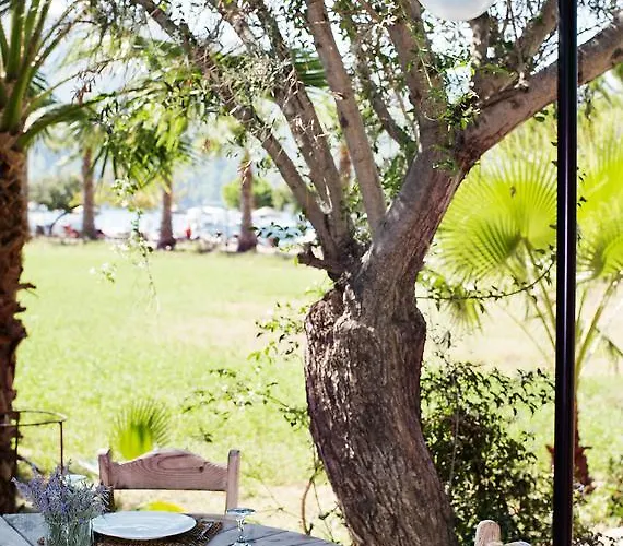 Baraka Hisaronu (adults Only) 3* Marmaris