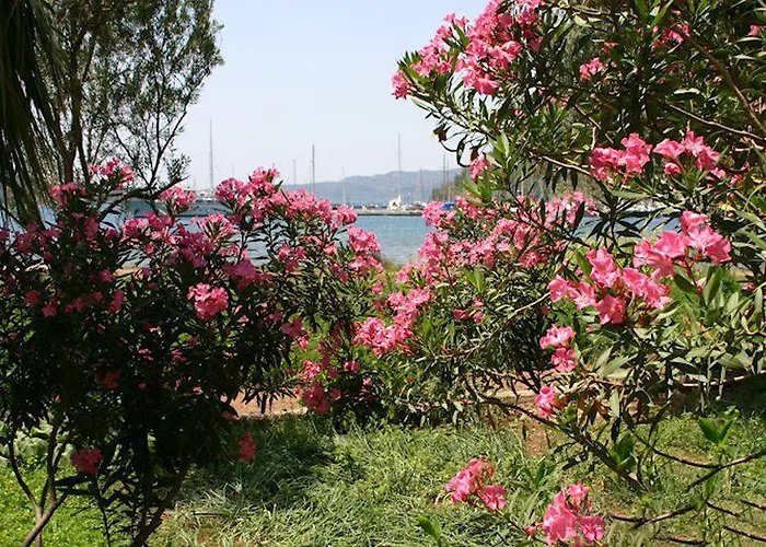 Baraka Hisaronu (adults Only) Hotel Marmaris