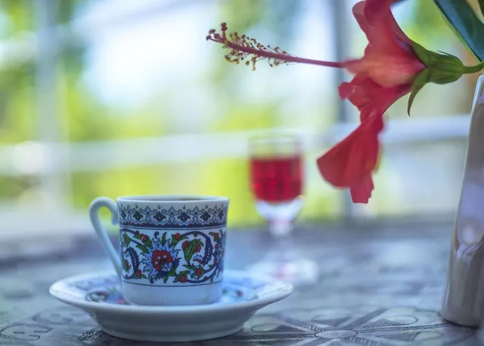 Hotel Baraka Hisaronu (adults Only) 3*