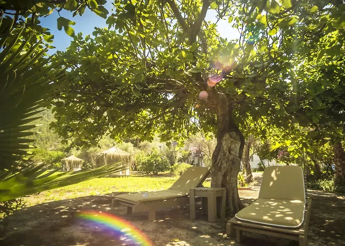 Baraka Hisaronu (adults Only) 3* Marmaris