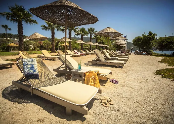 Baraka Hisaronu (adults Only) Hotel