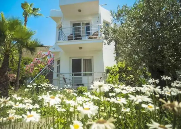 Hotel Baraka Hisaronu (adults Only) 3*