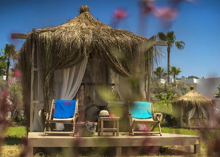 Baraka Hisaronu (adults Only)