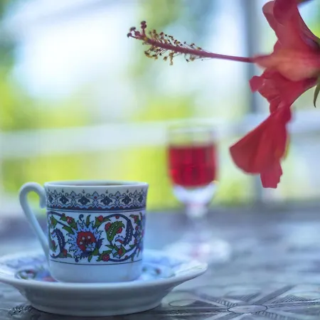 Hotel Baraka Hisaronu (adults Only) 3*