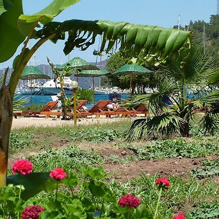 Baraka Hisaronu (adults Only) Hotel 3*