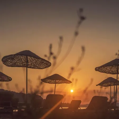 Baraka Hisaronu (adults Only)