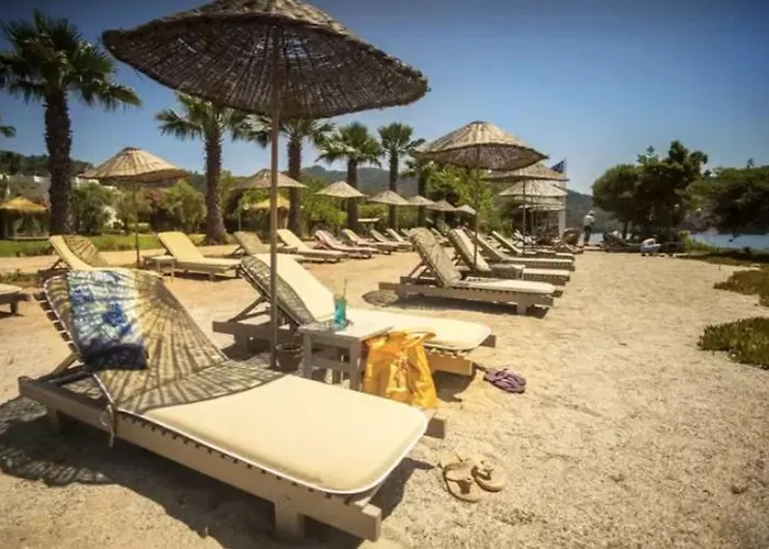 Baraka Hisaronu (adults Only) Hotel 3*