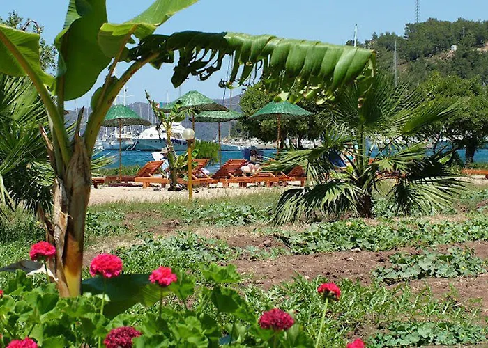 Baraka Hisaronu (adults Only) Hotel 3*