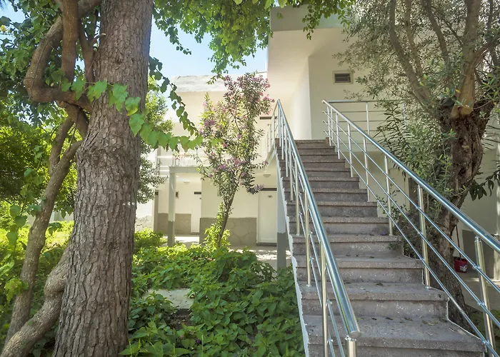 Baraka Hisaronu (adults Only)