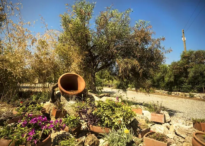 Baraka Hisaronu (adults Only)